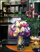 www.floristic.ru - .      