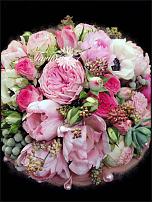 www.floristic.ru - .  .