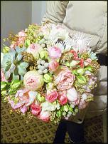 www.floristic.ru - .  .