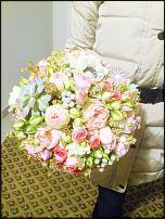 www.floristic.ru - .  .