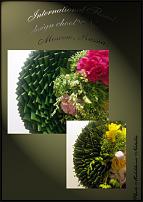 www.floristic.ru - .  