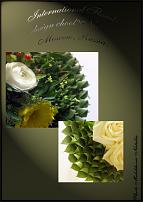 www.floristic.ru - .  