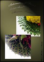 www.floristic.ru - .  