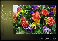 www.floristic.ru - .  