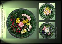 www.floristic.ru - .  