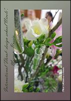 www.floristic.ru - .  