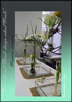 www.floristic.ru - .  