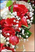 www.floristic.ru - .  