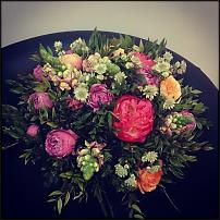 www.floristic.ru - .       ...