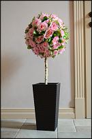 www.floristic.ru - .  - . .