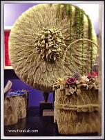 www.floristic.ru - .  (STACHYS)  