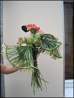 www.floristic.ru - . -