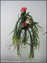 www.floristic.ru - . -