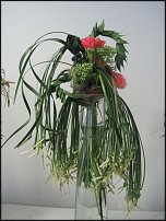 www.floristic.ru - . -