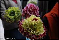 www.floristic.ru - . 