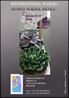 www.floristic.ru - .  