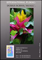 www.floristic.ru - .  