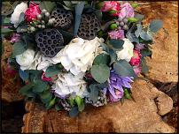 www.floristic.ru - Флористика. Суккуле́нты (Succulentus)
