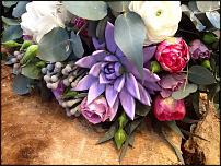 www.floristic.ru - Флористика. Суккуле́нты (Succulentus)