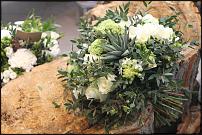 www.floristic.ru - Флористика. Суккуле́нты (Succulentus)