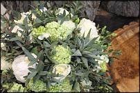 www.floristic.ru - Флористика. Суккуле́нты (Succulentus)