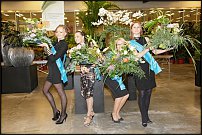 www.floristic.ru - .  .