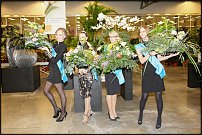 www.floristic.ru - .  .