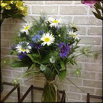 www.floristic.ru - .       ...