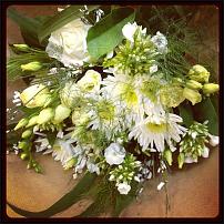 www.floristic.ru - .       ...