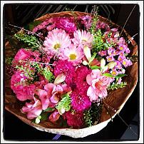 www.floristic.ru - .       ...