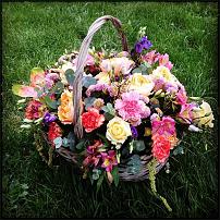 www.floristic.ru - .       ...