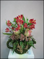 www.floristic.ru - . ,  .