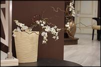 www.floristic.ru - .  