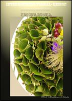 www.floristic.ru - .  