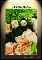 www.floristic.ru - .  