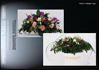 www.floristic.ru - .  