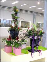 www.floristic.ru - .  