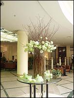 www.floristic.ru - .  