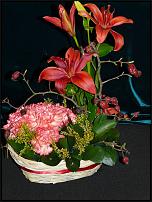 www.floristic.ru - .     