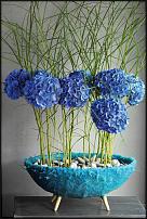 www.floristic.ru - .  