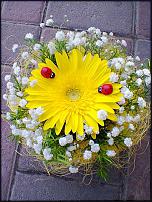 www.floristic.ru - .    !!!