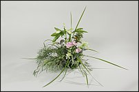 www.floristic.ru - .  .