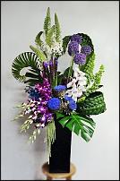 www.floristic.ru - .      