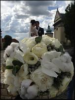 www.floristic.ru - .  .