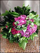 www.floristic.ru - .    !!!