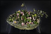 www.floristic.ru - .      