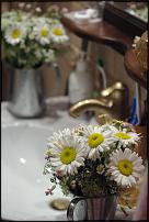 www.floristic.ru - .   - 