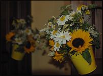 www.floristic.ru - .   - 