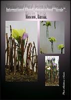 www.floristic.ru - .  