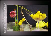 www.floristic.ru - .  